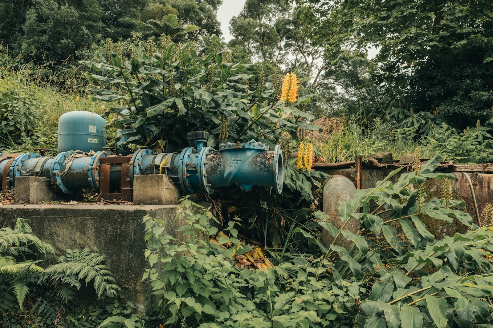 HVP Plumbing — plumber in Ruskin, FL