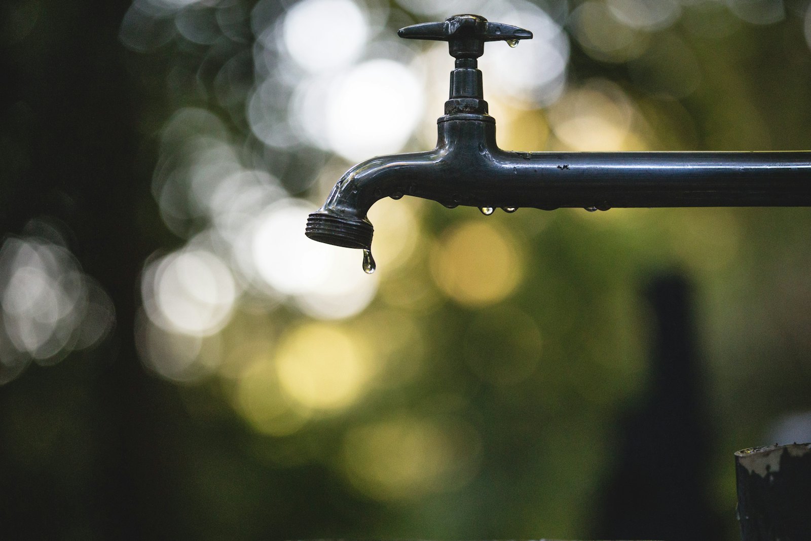 Gene Johnson Plumbing — plumber in Mt Dora, FL