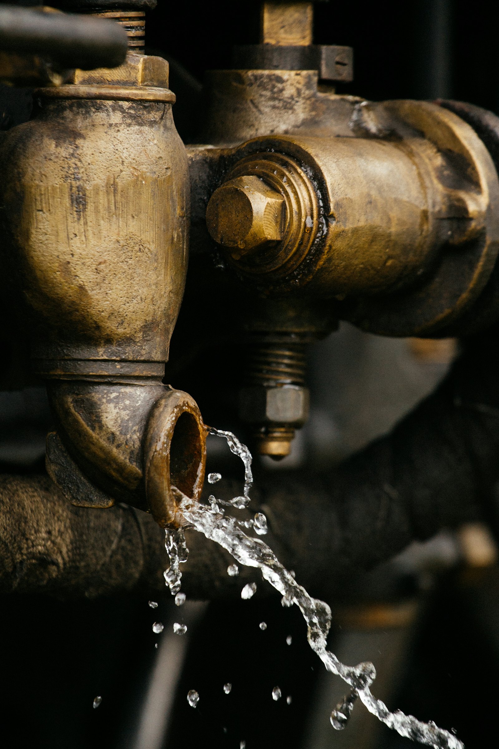 Harold's Plumbing — plumber in Fort Lauderdale, FL