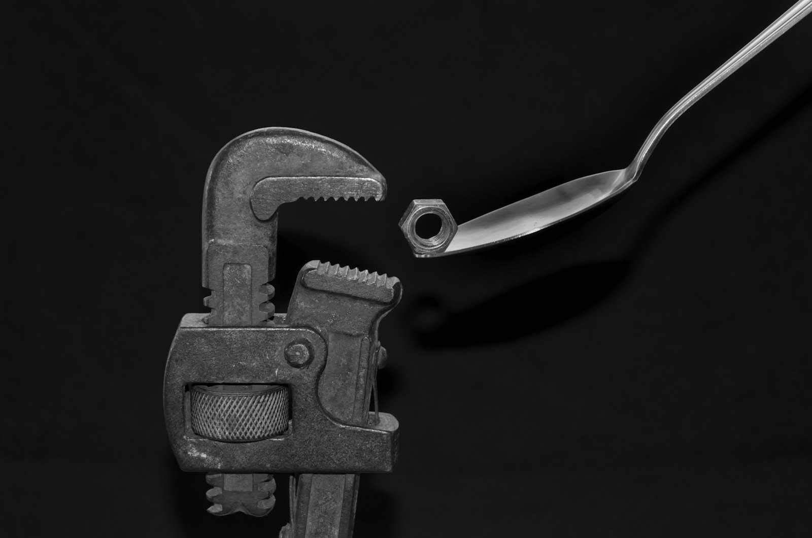 Hollys Plumbing Inc — plumber in Lake Worth Beach, FL