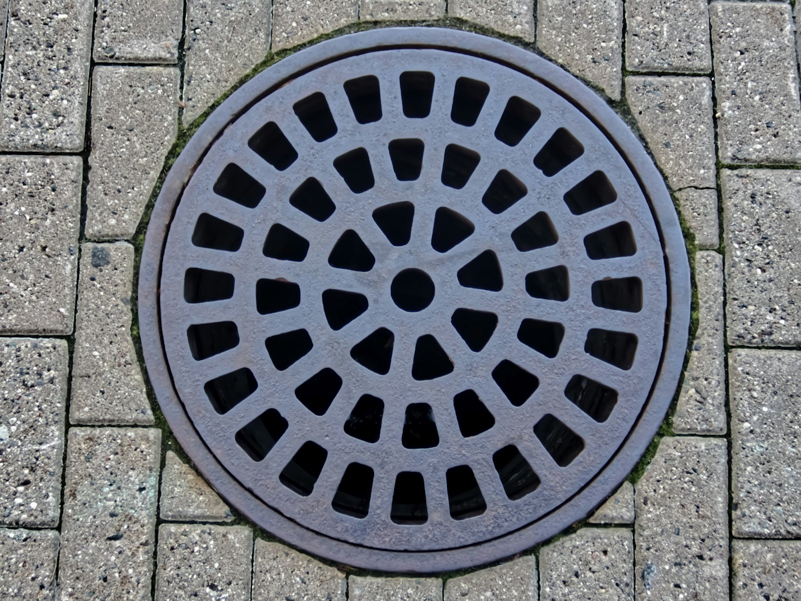 Future Plumbing — plumber in Jacksonville, FL